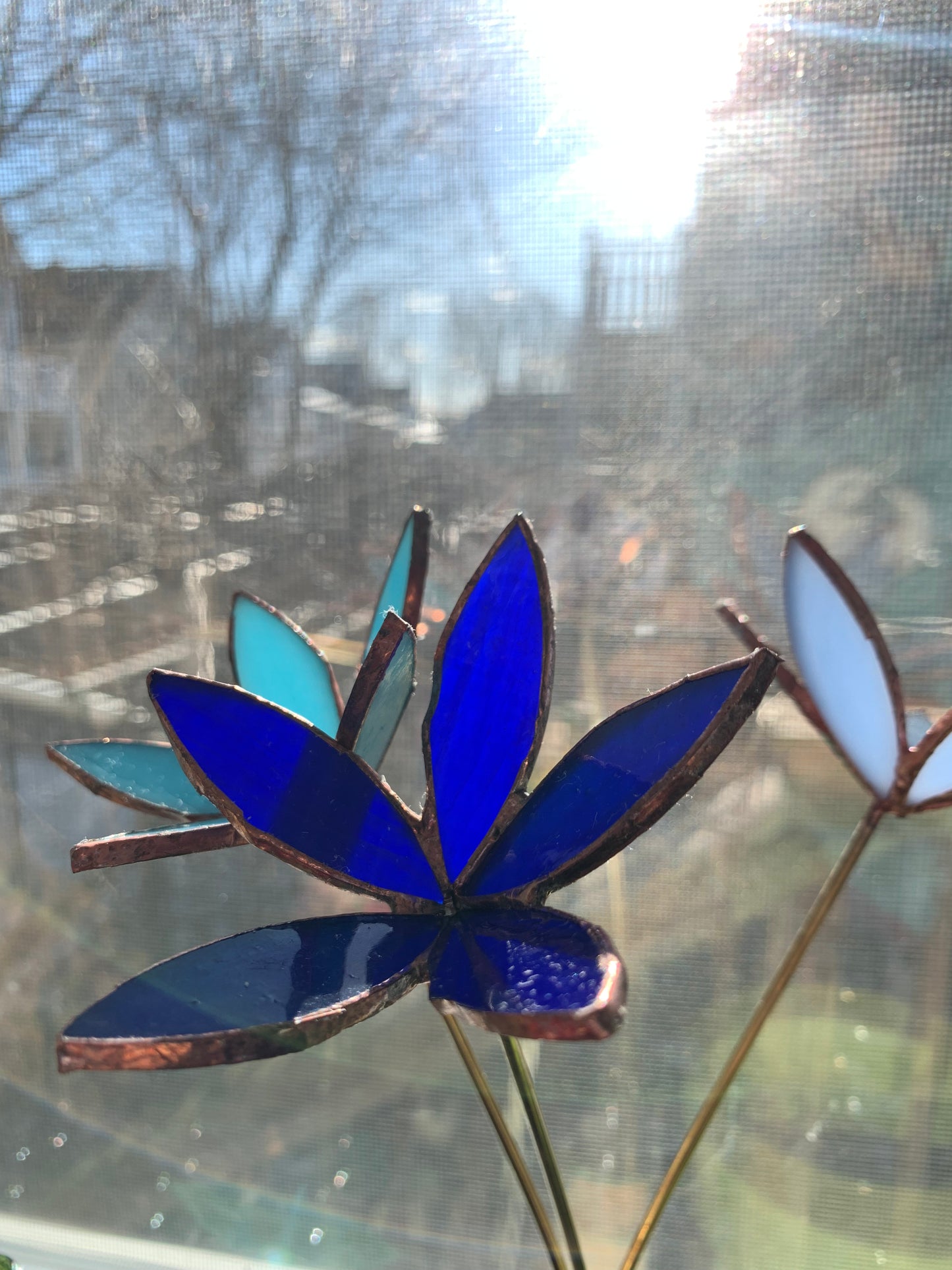 5 petal 3D flowers from precut petals (~2-3 flowers)