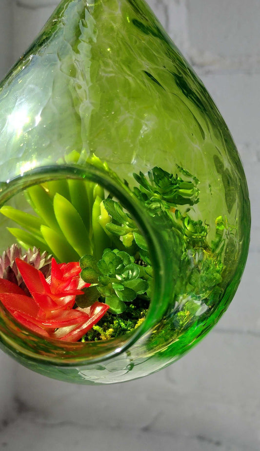 Handmade green glass terrarium with colorful succulents inside for Make Your Own Terrarium class