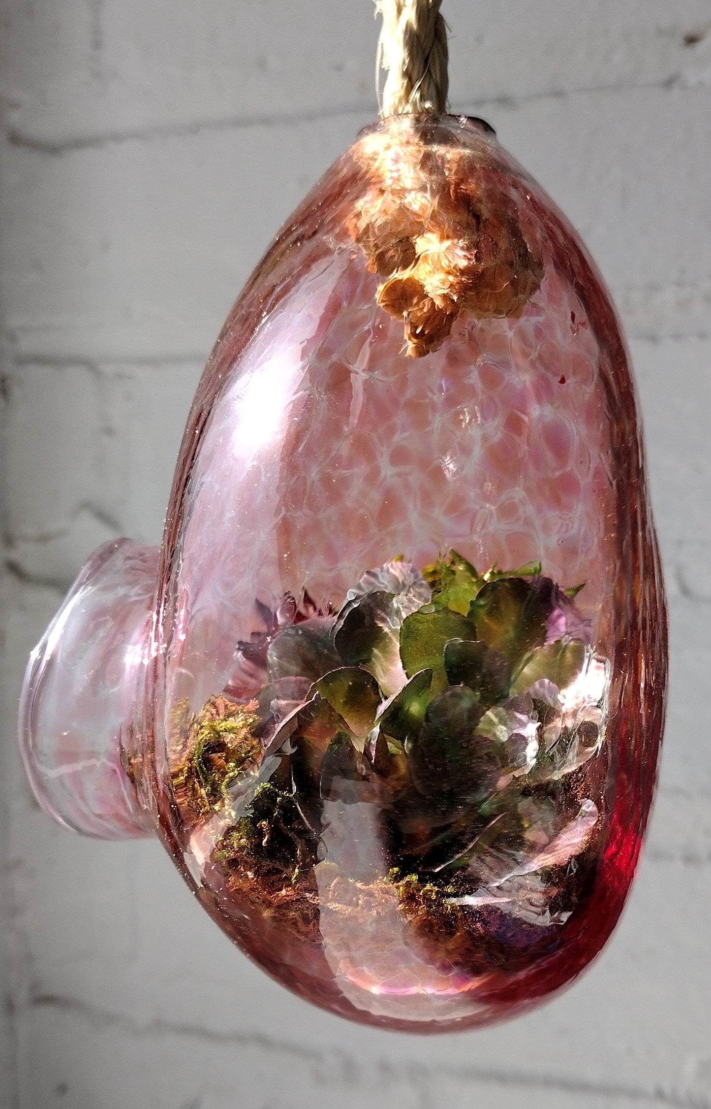 Make Your Own Terrarium
