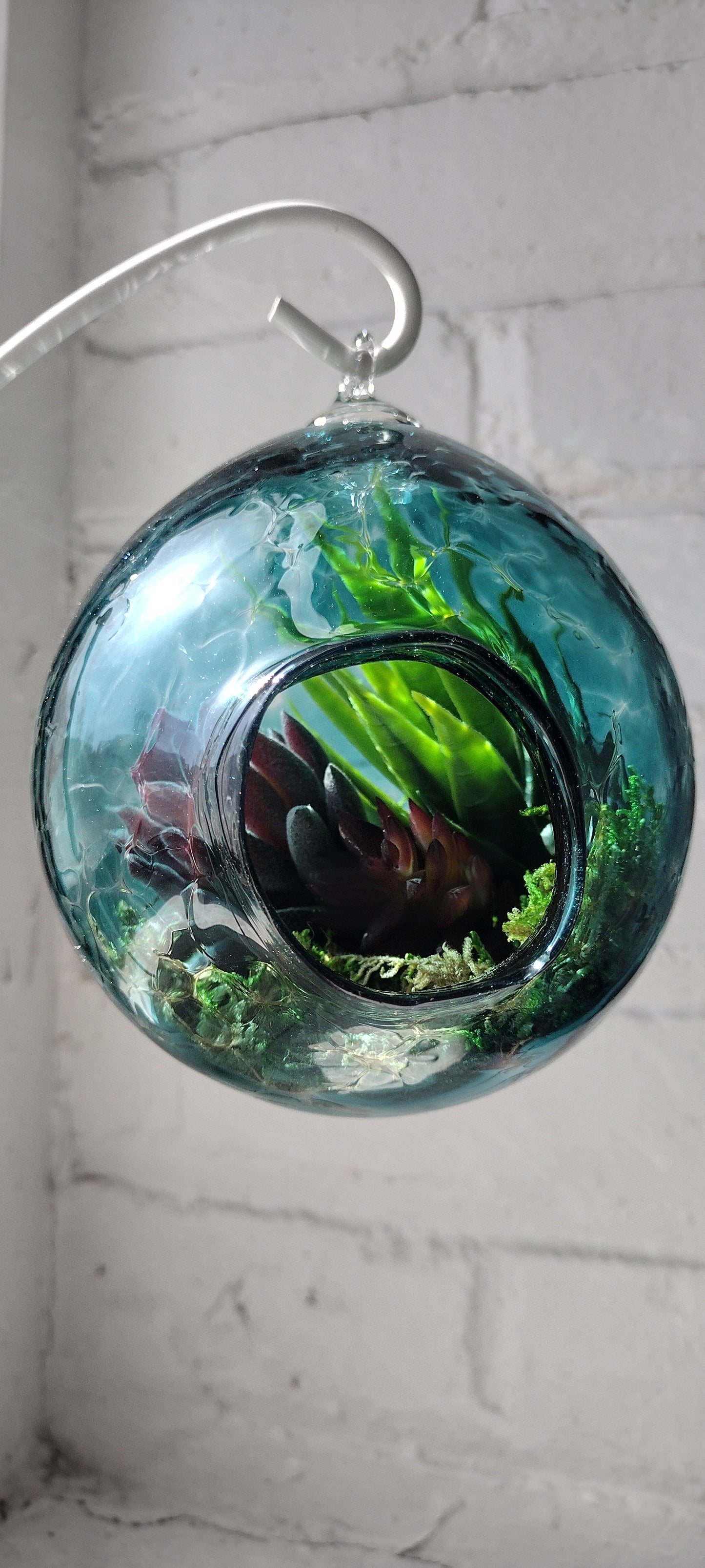 Make Your Own Terrarium