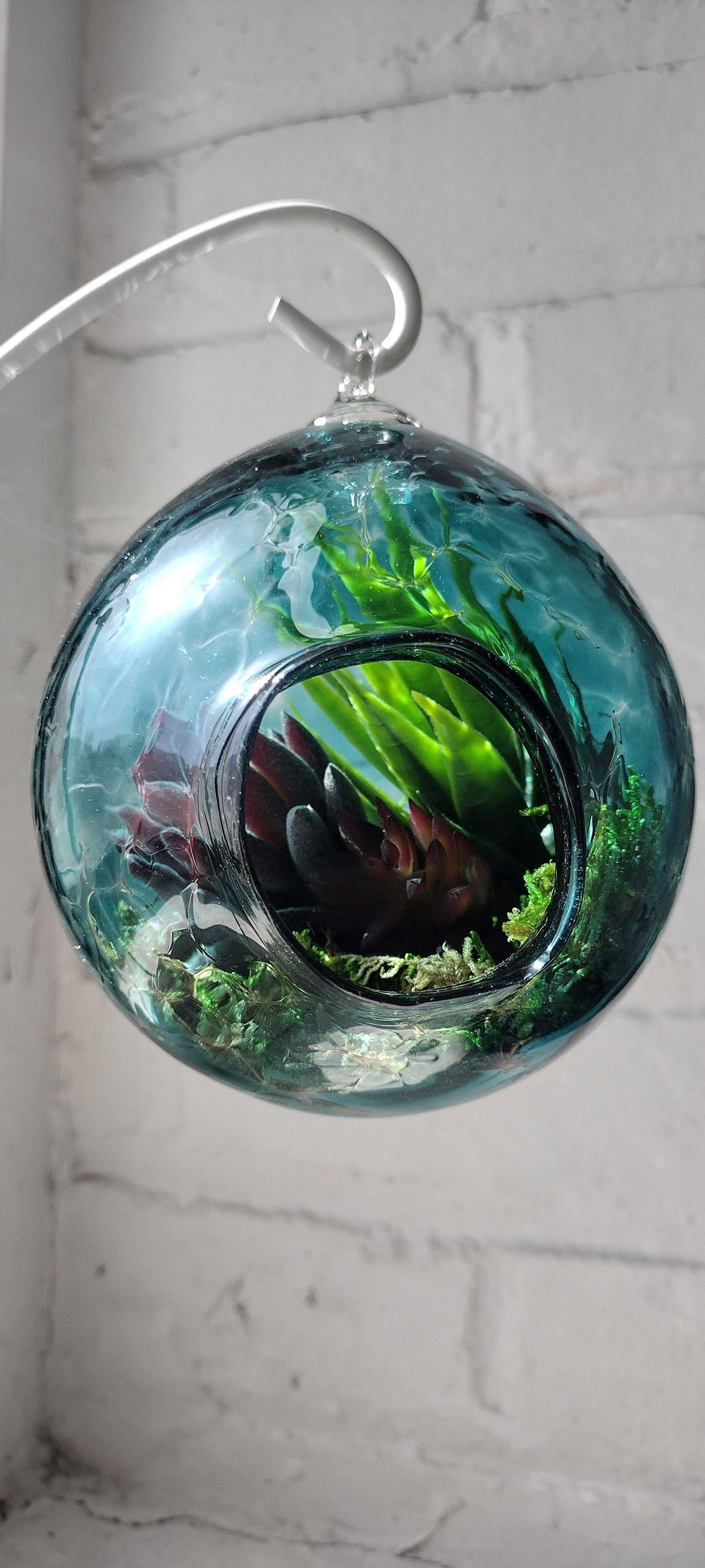 Handmade glass hanging terrarium with succulents and moss for Make Your Own Terrarium class