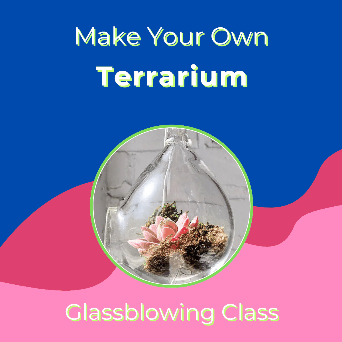 make your own air plant terrarium Make Your Own Terrarium Class