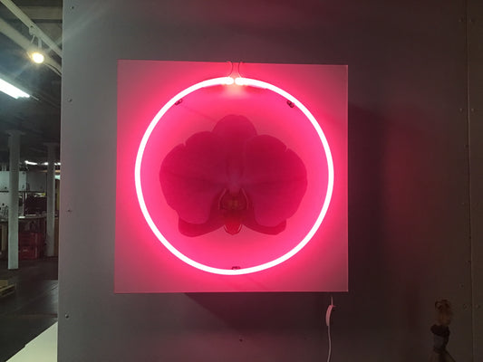 Pink Neon