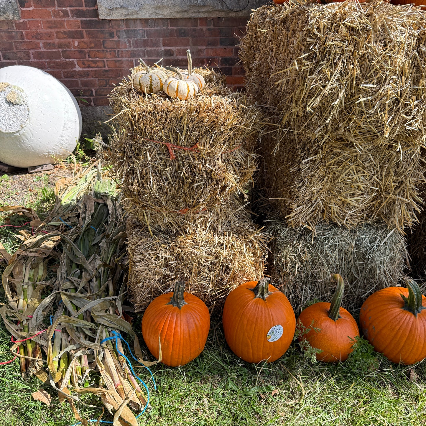Pumpkinpalooza! A Glass Pumpkin Festival & Fall Open House
