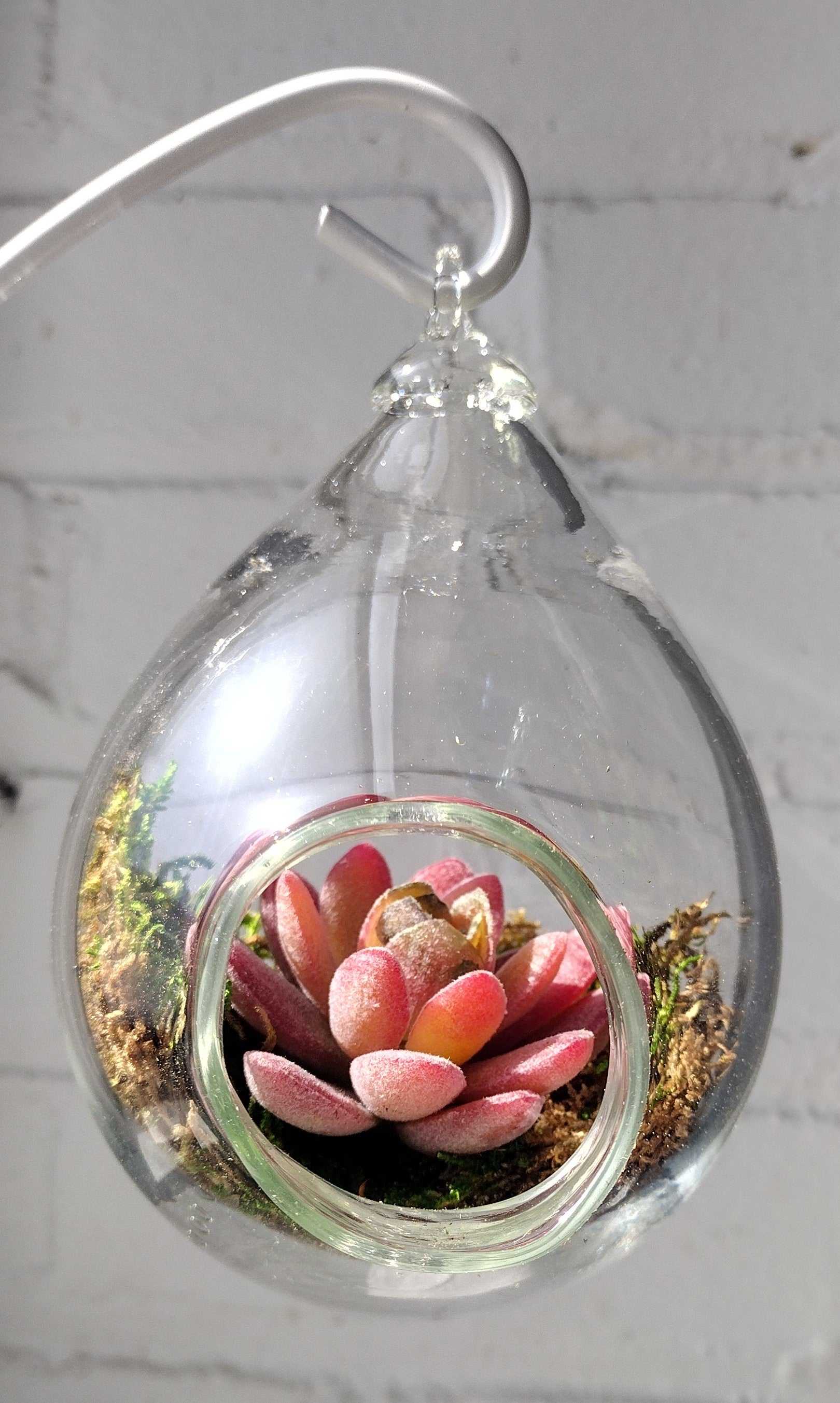 hanging succulent terrarium Make Your Own Terrarium Class