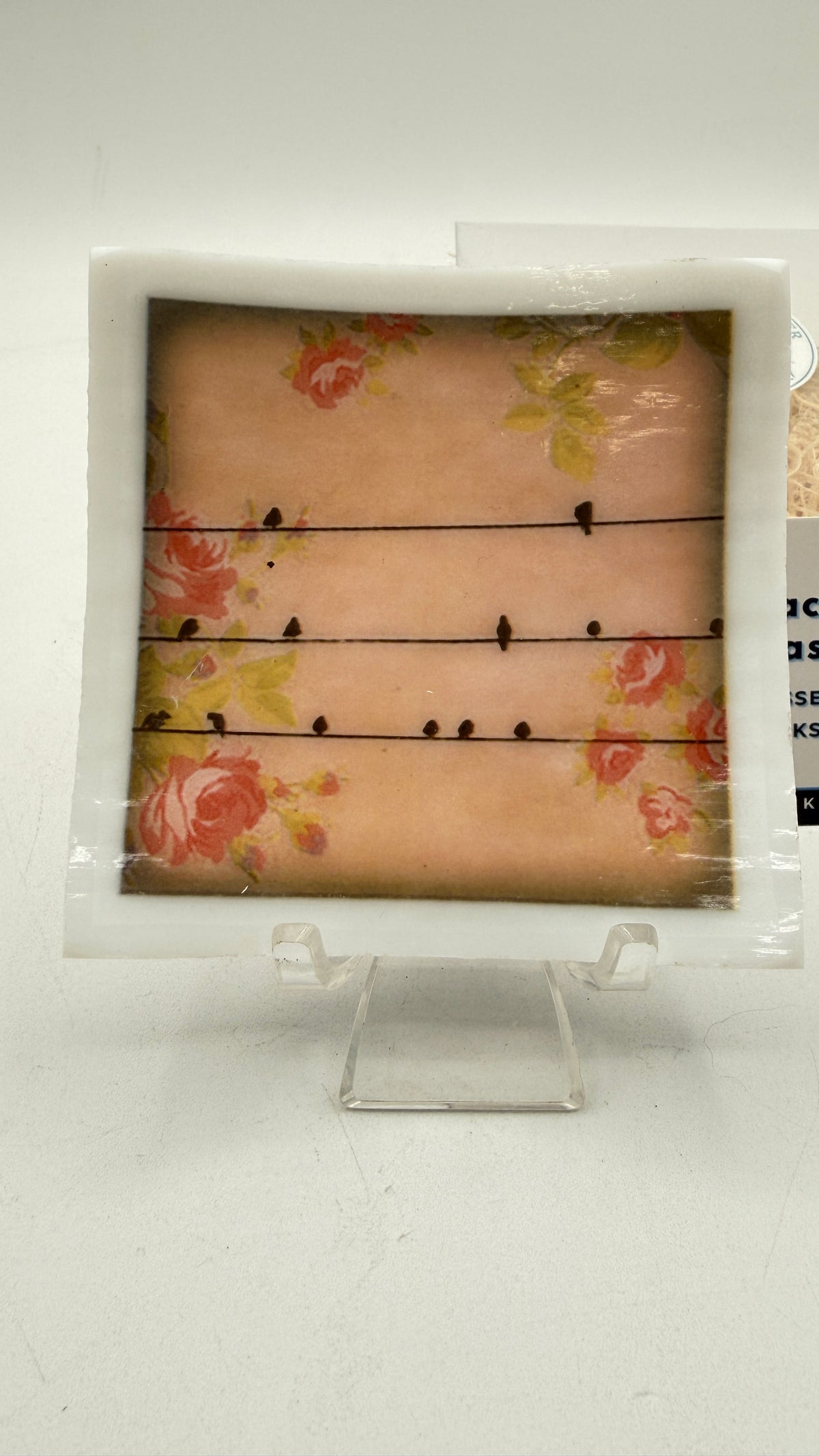 Lovely Fused Glass Trinket Dish- Bird Series