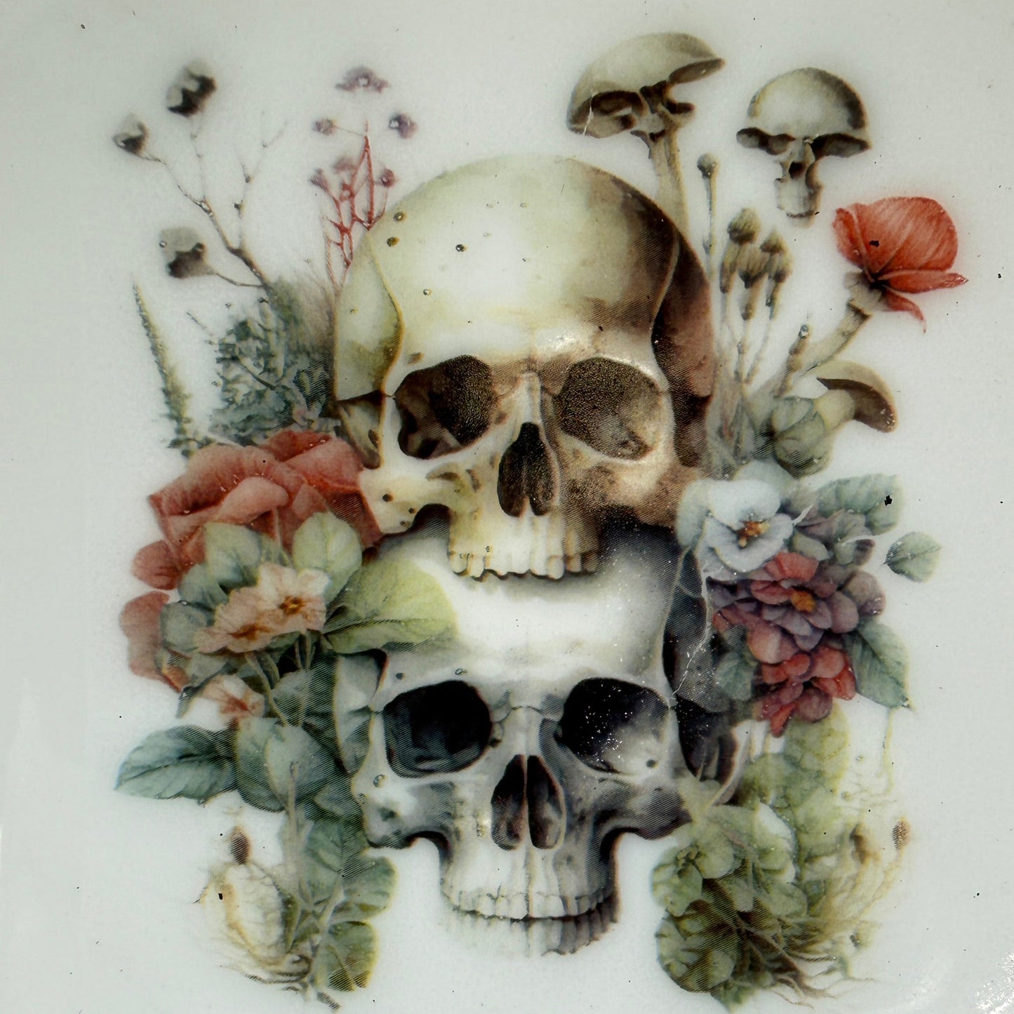 Mushroom Skull Trinket Dishes