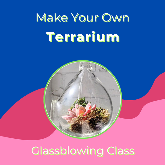 Make Your Own Terrarium