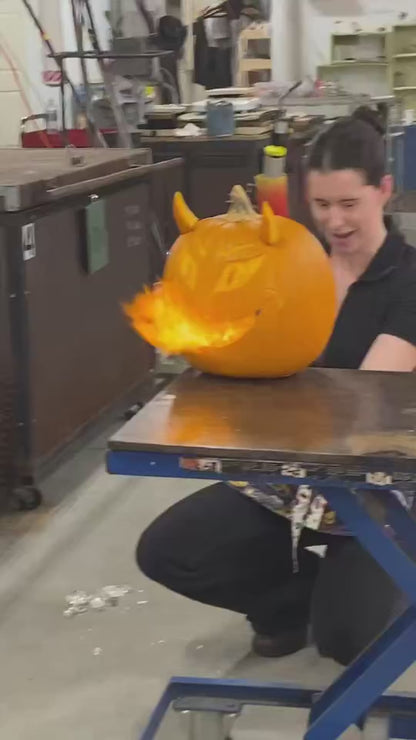 🎃 Pumpkin Palooza! 🎃  A Fall Open House!